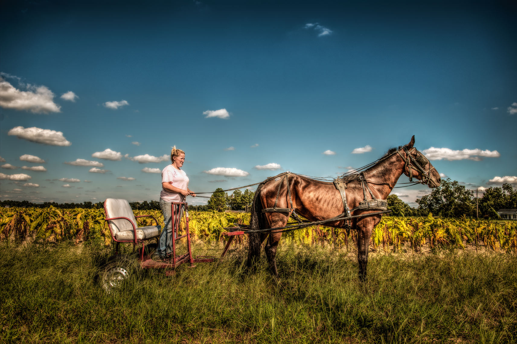 HorseBuggyVAEEntry02